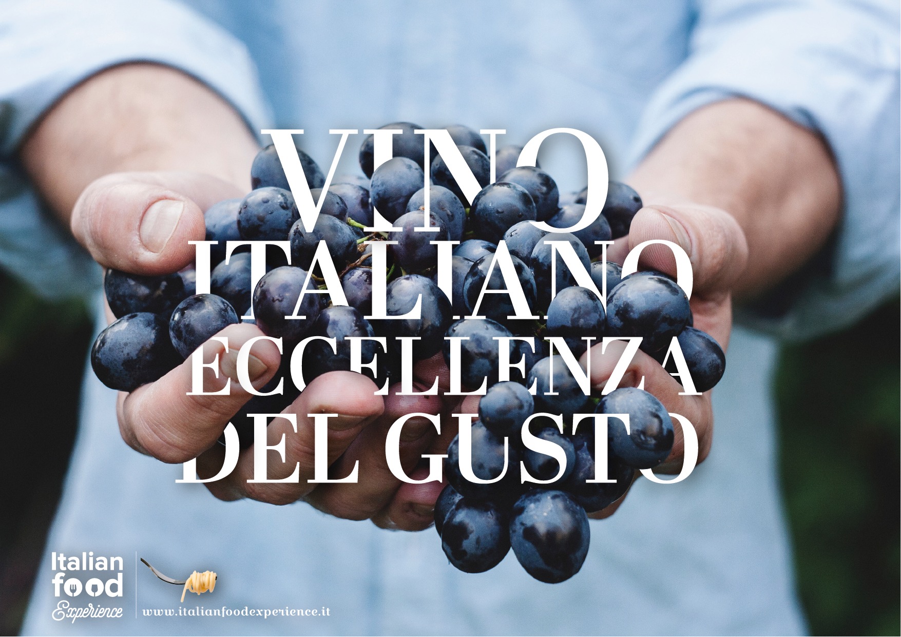 i vini italiani di #italianfoodexperience